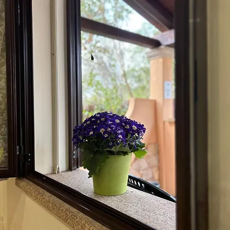 Gospodarstwo wiejskie Relais Alghero