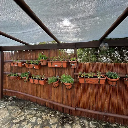 Relais * ألغيرو