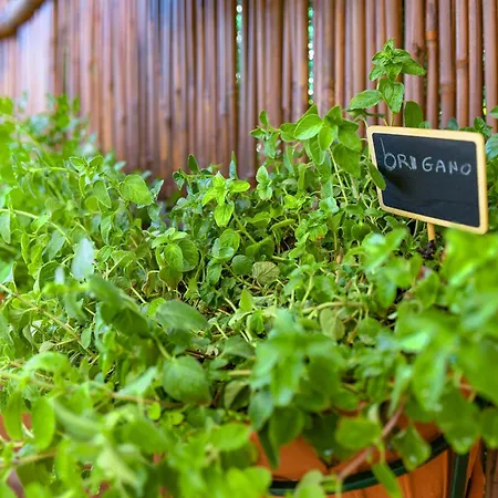 Εξοχικό σπίτι Relais