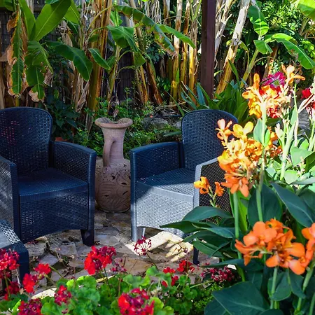 منزل ريفي Relais ألغيرو