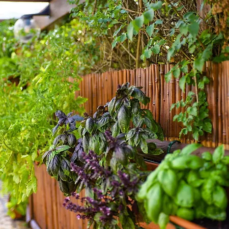 Εξοχικό σπίτι Relais *